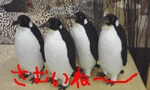 8368368b.gif
