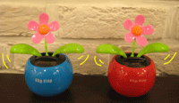 IMG_2806.gif
