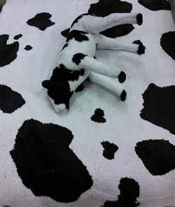 DSC_0007.gif