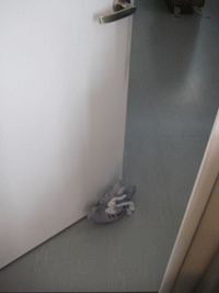 IMG_3379.gif
