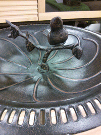DSC_0084.gif