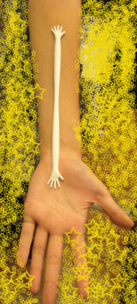 IMG_3603.gif