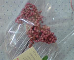 20080622201005.jpg