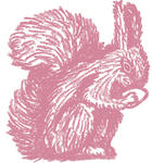 animal04.jpg