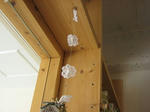 s-IMG_2304.jpg