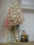 s-IMG_2364.jpg