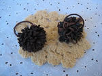 s-IMG_2383.jpg