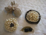 s-IMG_2639.jpg