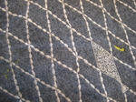 s-IMG_2656.jpg