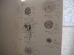 s-IMG_2822.jpg