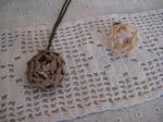 s-IMG_2841.jpg