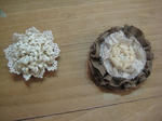 s-IMG_2933.jpg