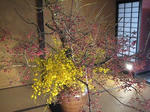 s-IMG_2958.jpg