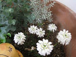 s-IMG_2968.jpg