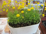 s-IMG_3203.jpg