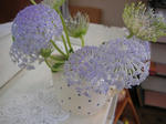 s-IMG_3205.jpg
