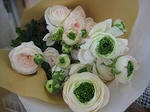 s-IMG_3224.jpg