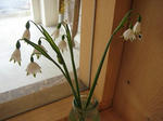 s-IMG_3228.jpg