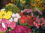 s-IMG_3066.jpg