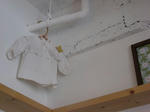 s-IMG_3306.jpg