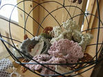 s-IMG_3335.jpg