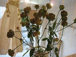 s-IMG_3977.jpg