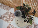 s-IMG_4326.jpg
