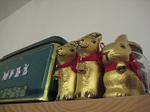 s-IMG_4487.jpg