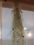 s-IMG_4606.jpg