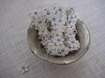 s-IMG_4673.jpg