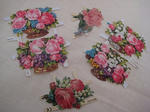 s-IMG_4686.jpg