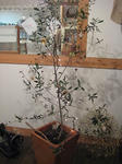 s-IMG_4694.jpg
