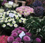 s-IMG_4442.jpg