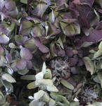s-IMG_4753.jpg
