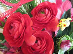 s-IMG_4755.jpg