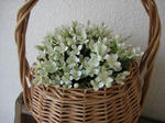 s-IMG_4838.jpg