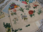 s-IMG_4898.jpg