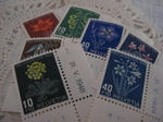 s-IMG_4960.jpg