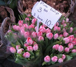 s-IMG_4435.jpg