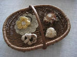s-IMG_5038.jpg