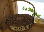 s-IMG_5071.jpg