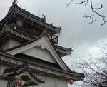 s-20100325232432.jpg