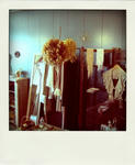 s-IMG_5342-pola.jpg