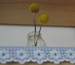 s-IMG_5357.jpg