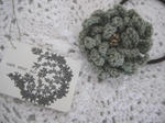s-IMG_5520.jpg