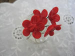s-IMG_5952.jpg