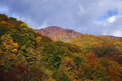 20110108_1742930.jpg