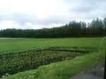 070713_0841~0001.jpg