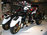 07tesse.jpg