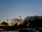 080106_evening.jpg